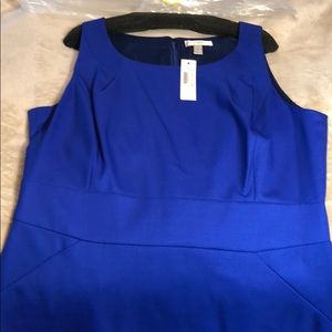 NWT J Crew Suit Dress